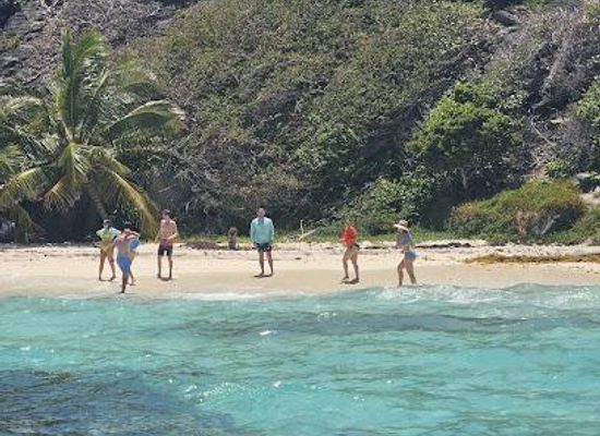saint-vincent-and-the-grenadines/saint-george/attraction/topdawg-taxi-and-tours