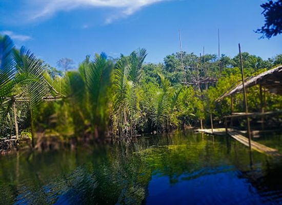 philippines/siargao/attraction/morens-jungle-lagoon