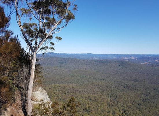 australia/mid-north-coast/attraction/bago-bluff-national-park