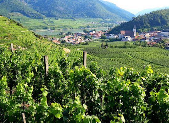 austria/mostviertel/attraction/rotes-tor