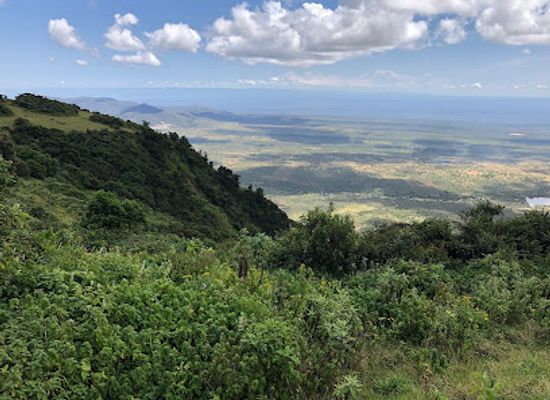 kenya/mount-kenya-region/attraction/ngong-hills-forest-reserve
