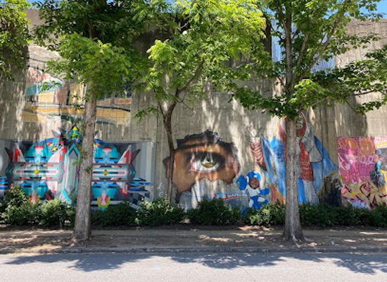 alabama/chattahoochee-river/attraction/krog-street-tunnel