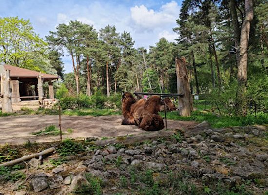 latvia/vidzeme/attraction/riga-national-zoological-garden