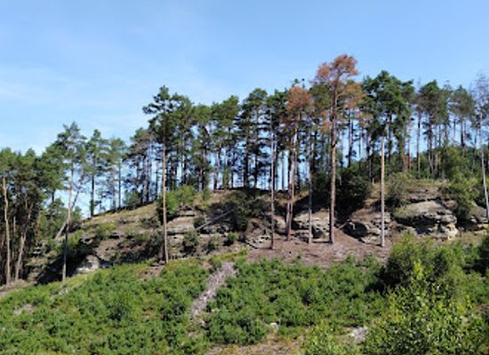 czechia/north-bohemia/attraction/psi-kostel