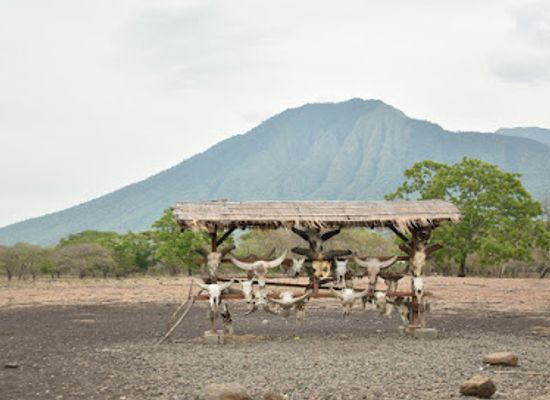 indonesia/east-java/attraction/baluran-national-park