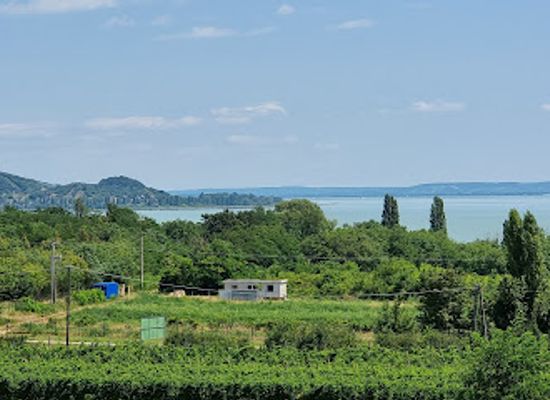 hungary/western-transdanubia/attraction/nedeczky-mansion-balatonederics