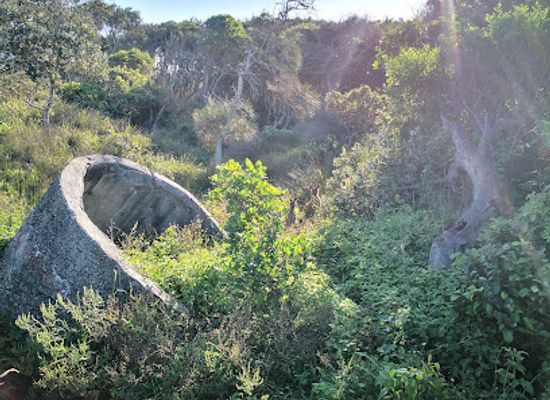 australia/northern-rivers/attraction/solitary-islands-marine-park
