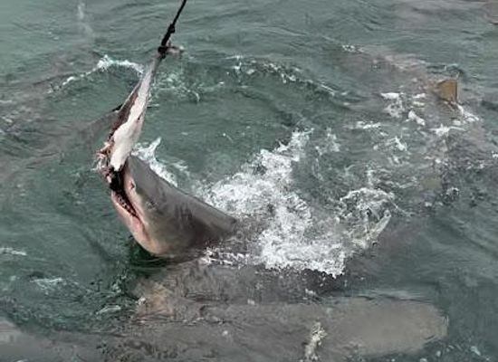 florida/key-west/attraction/key-west-extreme-adventures