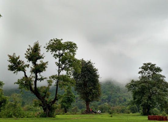 india/goa/margao/attraction/damodar-temple
