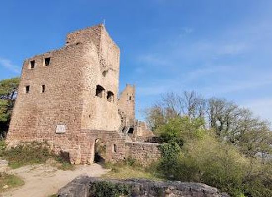 france/alsace/attraction/the-three-castles-of-eguisheim
