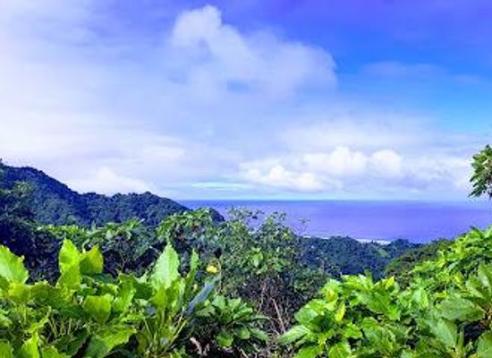 cook-islands/matavera/attraction/te-rua-manga-the-needle
