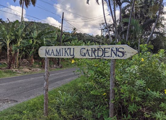 saint-lucia/choiseul-quarter/attraction/mamiku-gardens
