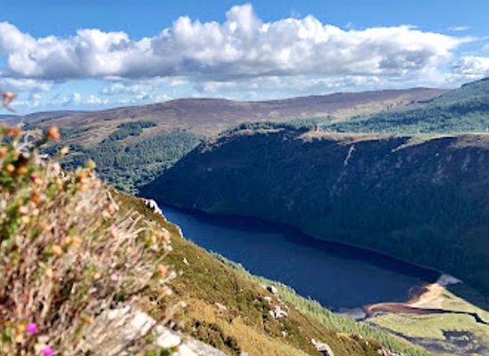 ireland/county-wicklow/attraction/miners-village