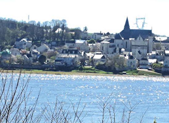 france/pays-de-la-loire/attraction/confluence-de-la-loire-et-de-la-vienne