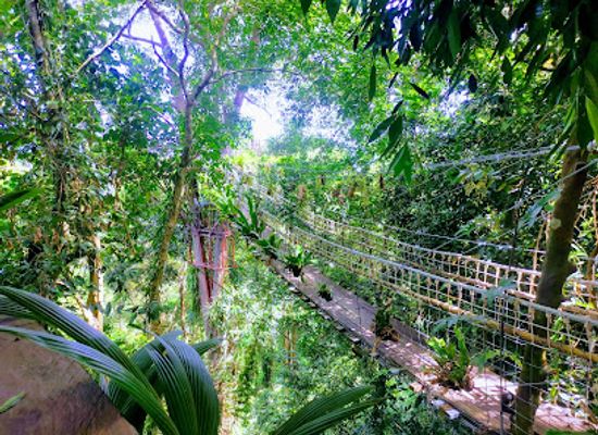 thailand/koh-samui/maenam/attraction/tan-rua-waterfall