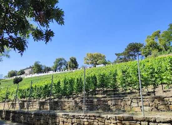 czechia/prague/attraction/grebovka-wine-cellar