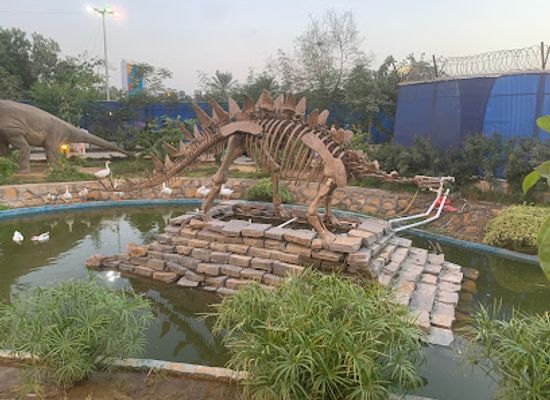 pakistan/karachi/gulshan-e-iqbal/attraction/dino-safari-park