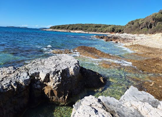 croatia/rovinj/attraction/beach
