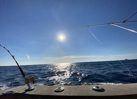 florida/fort-lauderdale/attraction/fishing-headquarters