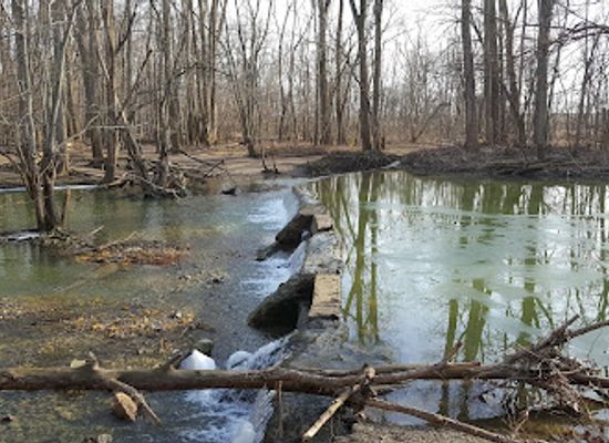 ohio/great-black-swamp/attraction/black-swamp-nature-center