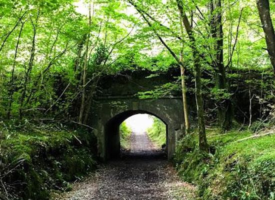 ireland/county-galway/attraction/clonbur-wood-car-park