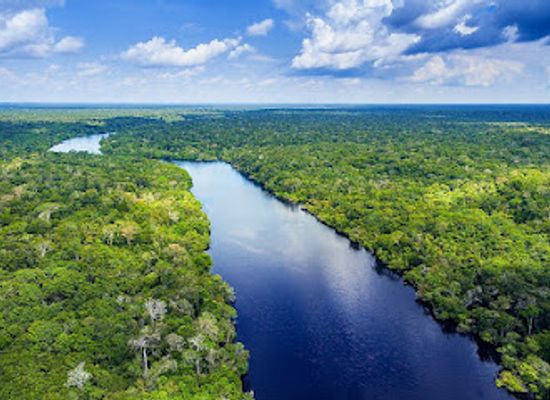 colombia/amazon/attraction/amazon-rainforest