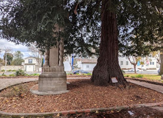 california/monterey/downtown-monterey/attraction/monterey-moon-tree