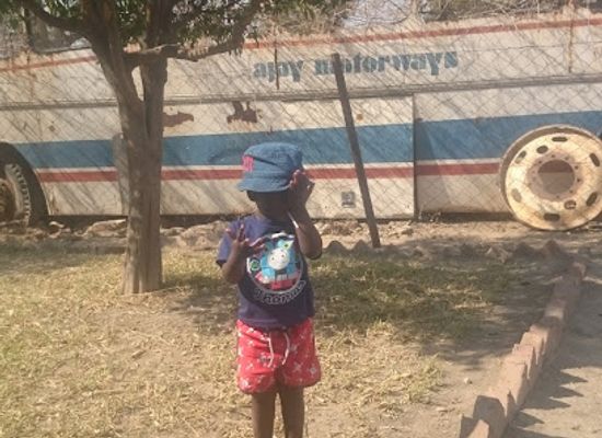 zimbabwe/hwange/attraction/hwange-zoo-aviary-nature-park