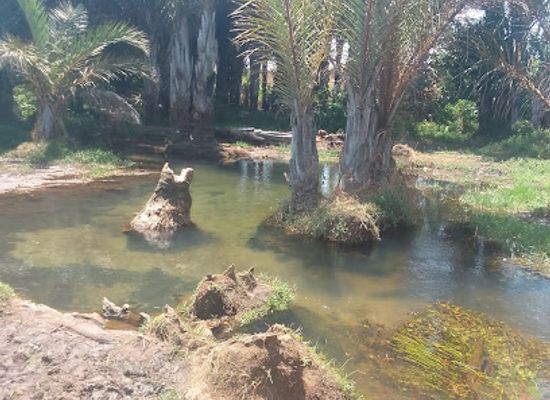 zambia/kalambo-falls/attraction/mbala-water-pool