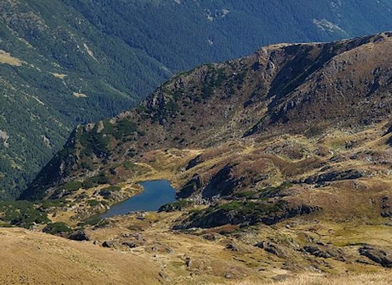 romania/fagaras-mountains/attraction/vf-musetescu