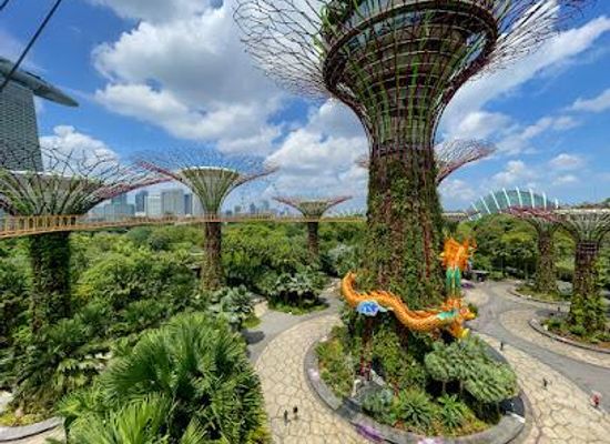 singapore/marina-bay/attraction/ocbc-skyway