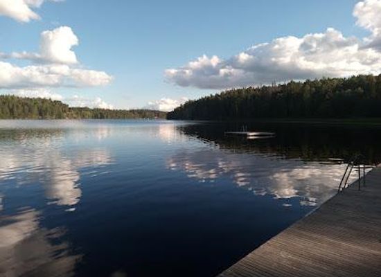sweden/bjorkliden/attraction/fjallnora-naturreservat