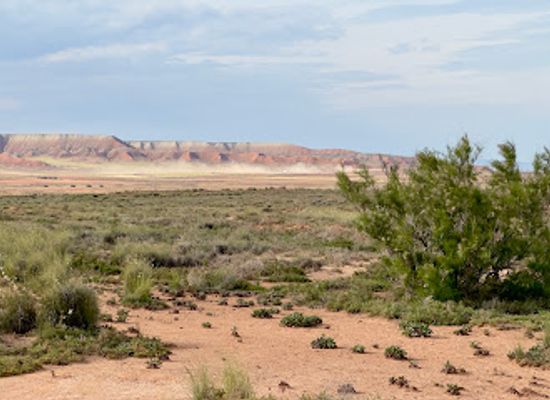 spain/aragon/attraction/reserva-ornitologica-de-el-planeron
