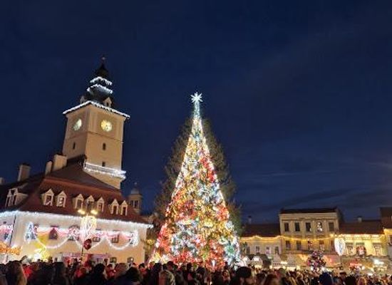 romania/bucharest/attraction/mr-tripp