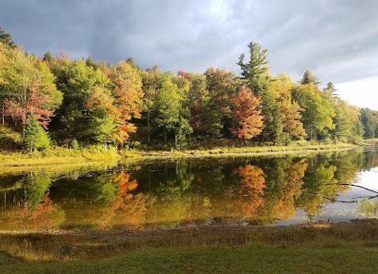 massachusetts/berkshires/attraction/kenneth-dubuque-memorial-state-forest