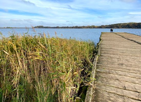 germany/north-frisia/attraction/haithabu-landing-stage