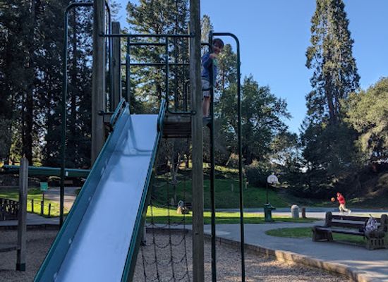 california/berkeley/telegraph-avenue/attraction/codornices-park