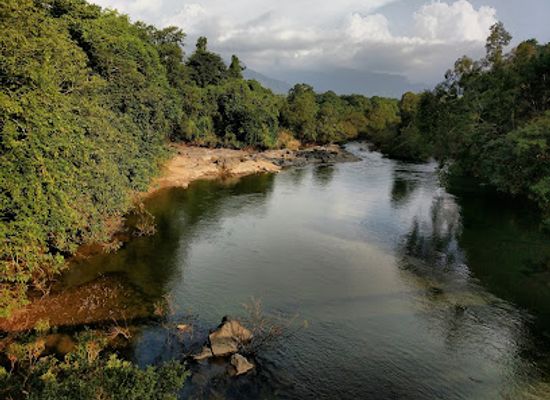 india/malabar-coast/attraction/nedumkayam-rain-forest