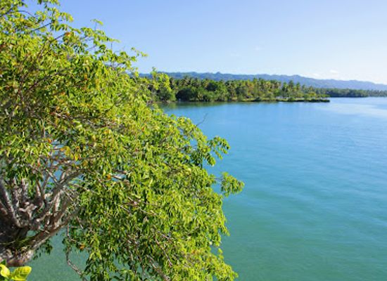dominican-republic/los-haitises/attraction/playa-las-garitas