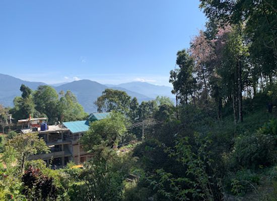 india/sikkim/attraction/jawaharlal-nehru-botanical-garden