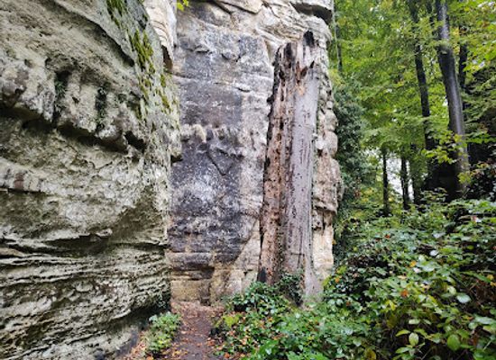 luxembourg/mullerthal/attraction/versteinerter-dino