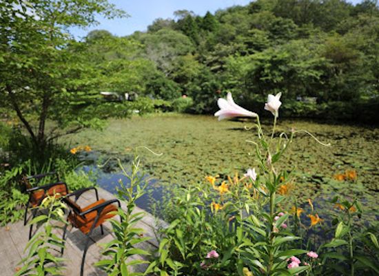 japan/awaji/attraction/rokko-morinone-museum