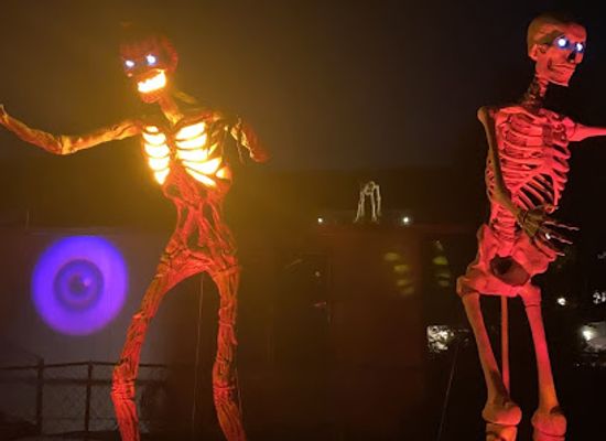 montana/whitefish/attraction/giant-skeleton-whitefish