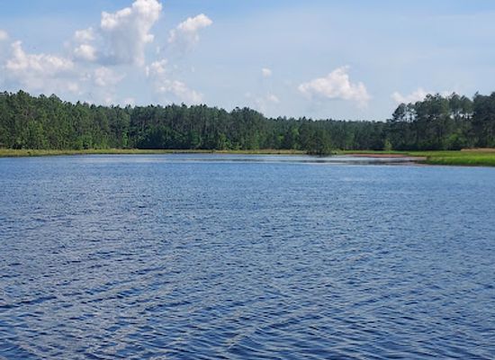 alabama/coosa-valley/attraction/bamahenge