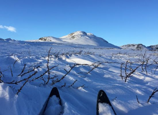 norway/rogaland/attraction/stoylskardnuten