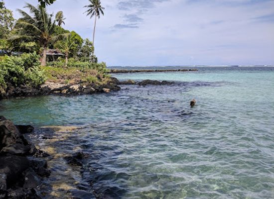 samoa/asau/attraction/giant-clam-sanctuary