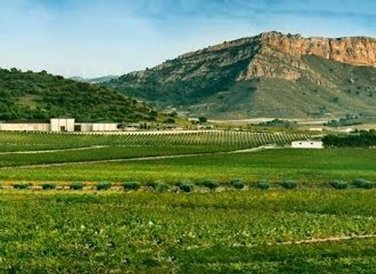 spain/murcia-region/attraction/bodegas-hijos-de-juan-gil