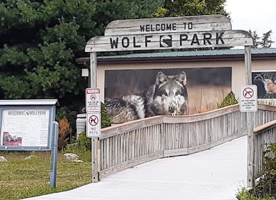 indiana/northern-indiana/attraction/wolf-park