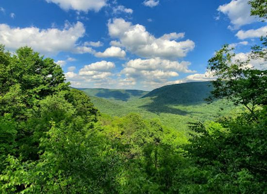 pennsylvania/ohiopyle-state-park/attraction/baughman-rock-overlook