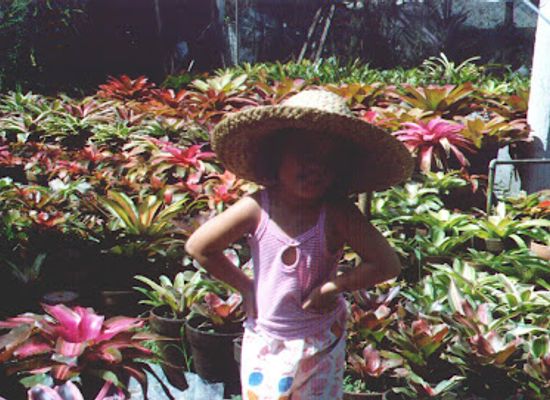 philippines/mindanao/attraction/cecille-s-garden